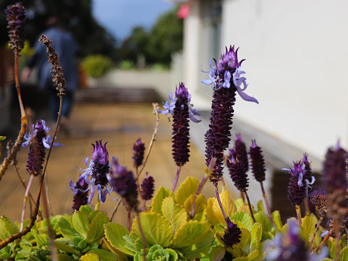Bellum Hotel Mount Gambier Extérieur photo