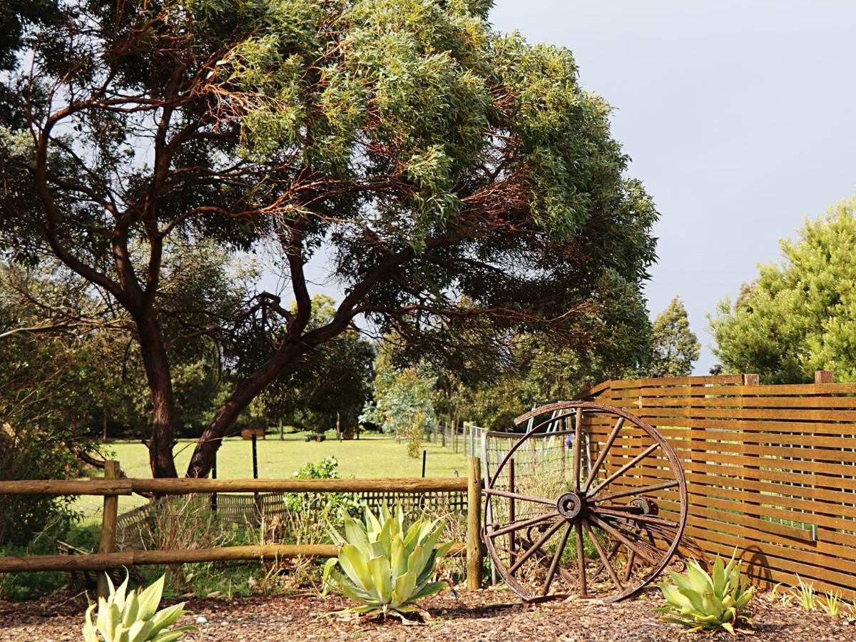 Bellum Hotel Mount Gambier Extérieur photo