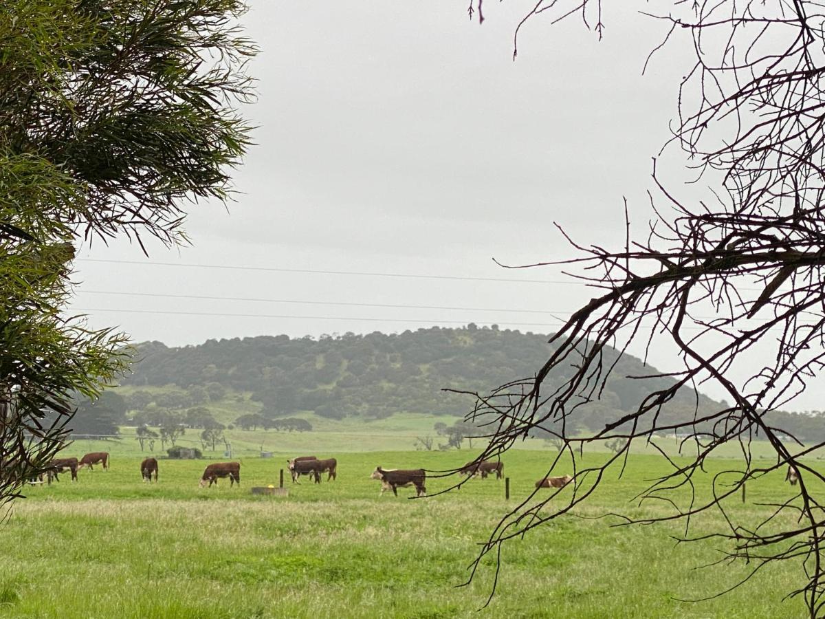 Bellum Hotel Mount Gambier Extérieur photo